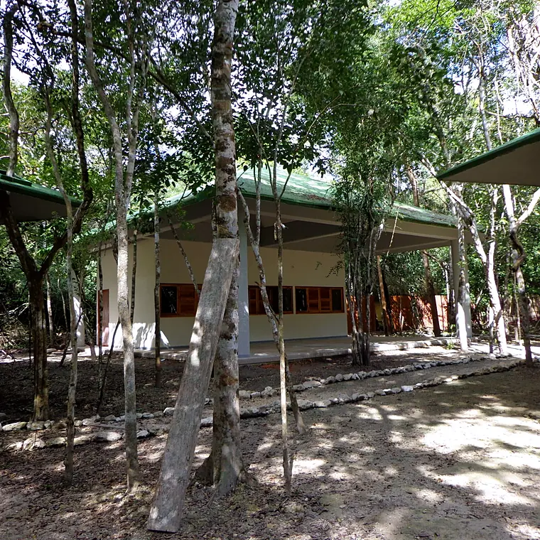 Pabellón de servicios entre la selva de la zona arqueológica de Calakmul